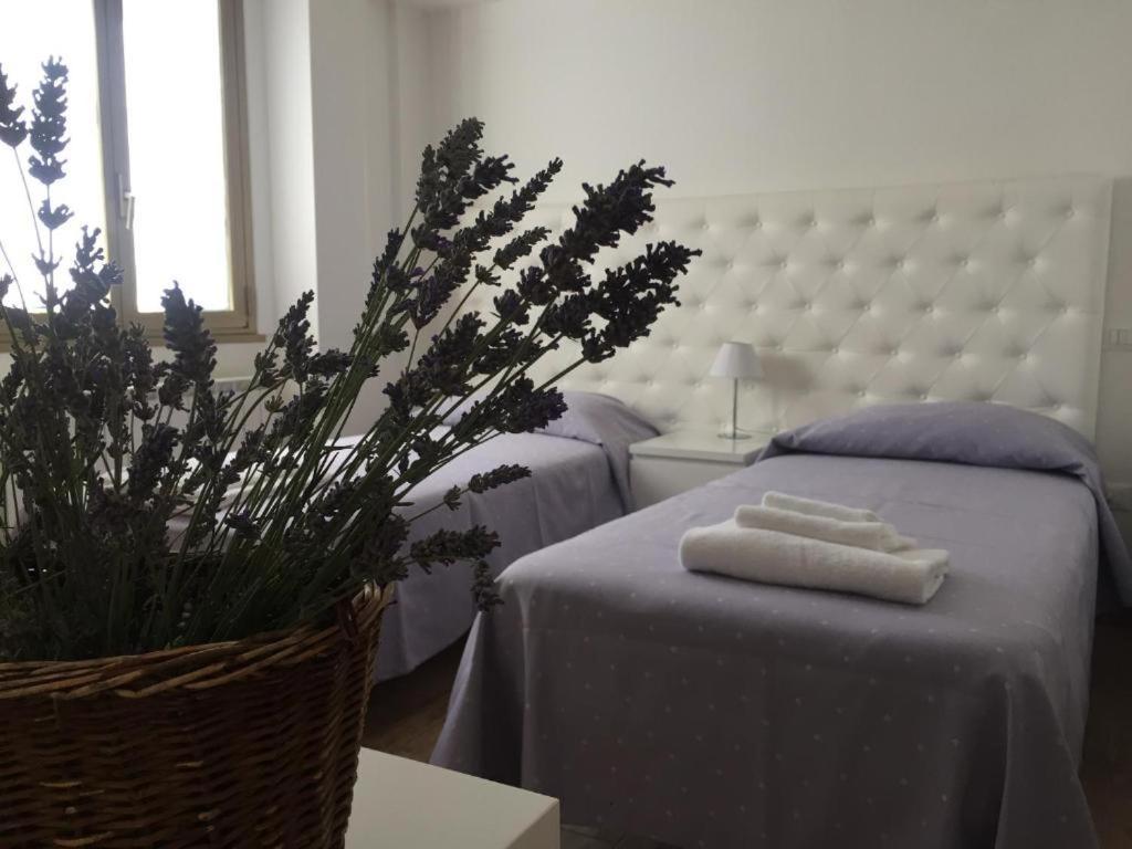 Itaka Bed & Breakfast L'Aquila Luaran gambar